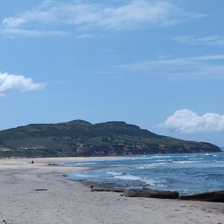 伊格莱西亚斯Casa Vacanze Lo Specchio公寓 外观 照片